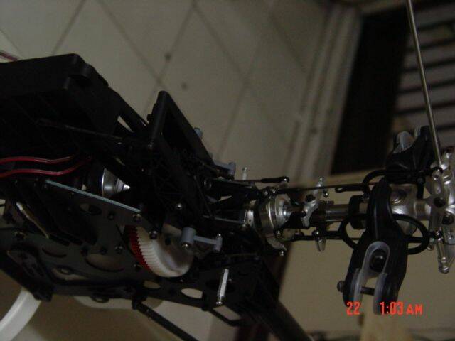 DSC03859.JPG