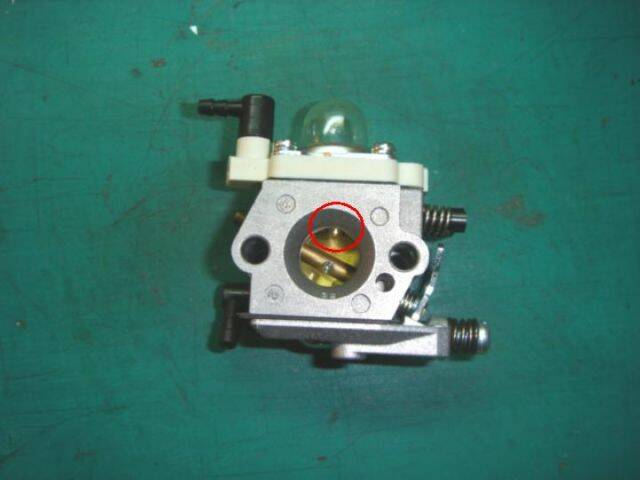 DSC08386-1.jpg