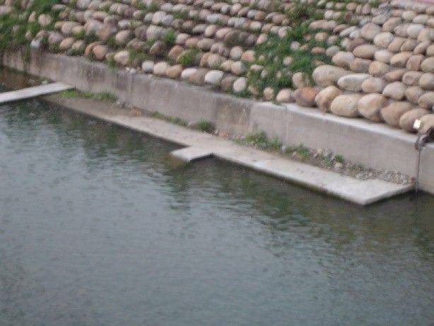 DSC09888.JPG