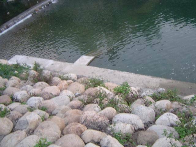 DSC09893.JPG