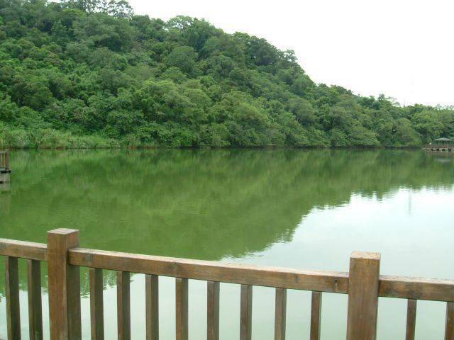 DSCF0770.JPG