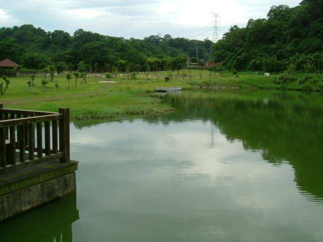 DSCF0771.JPG