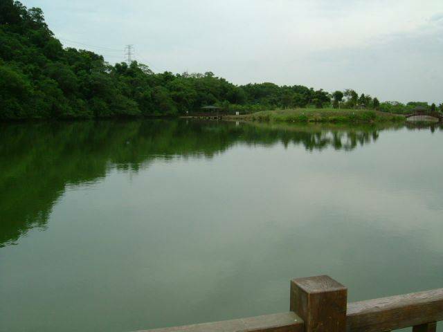DSCF0772.JPG