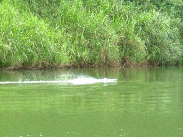 DSCF0790.JPG