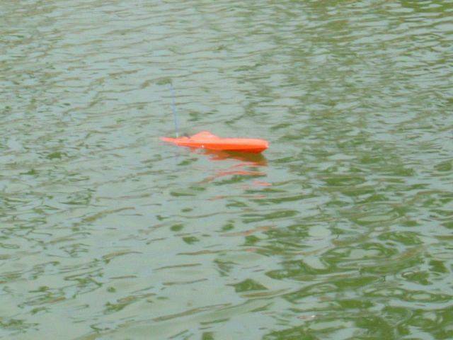 DSCF0817.JPG
