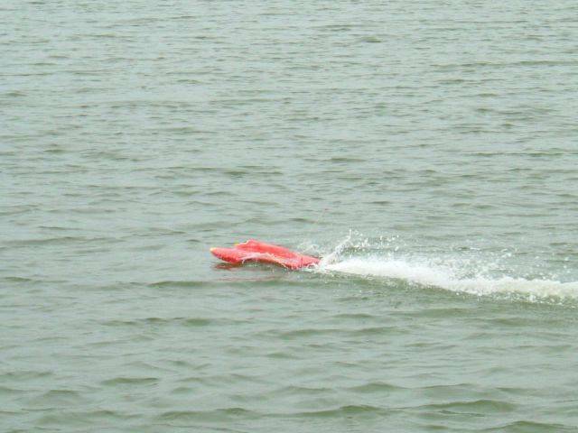 DSCF0841.JPG