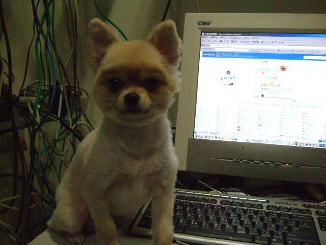 DSCF1520.JPG