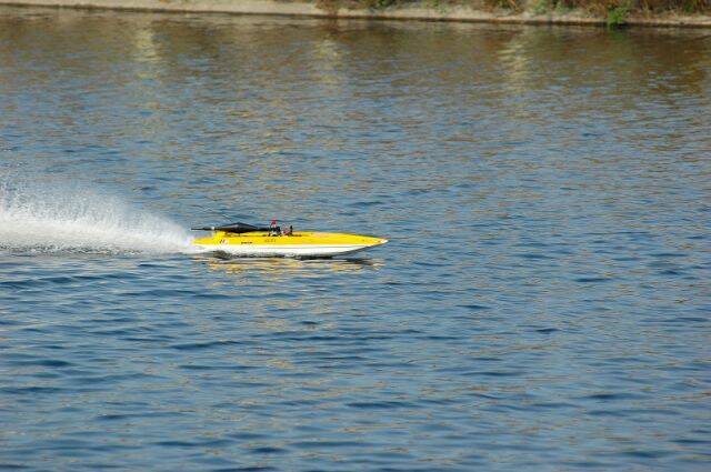 DSC_7882.JPG