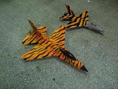F-16tiger-3.JPG