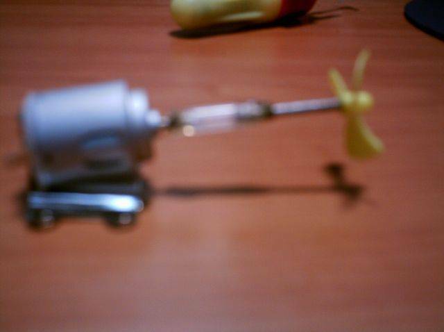 IMAG0175.JPG