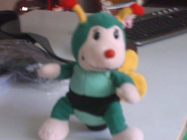 IMAG0420.JPG