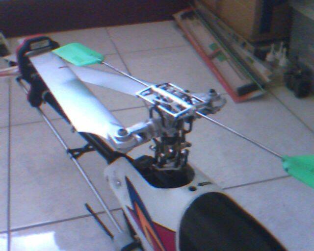 IMG0061A.jpg