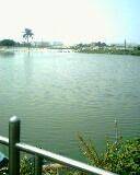 IMG0062A.jpg