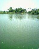 IMG0063A.jpg