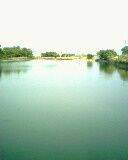 IMG0067A.jpg
