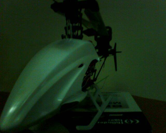 IMG0117A.jpg