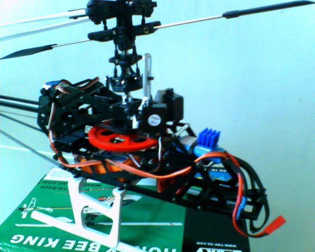 IMG0123A.jpg