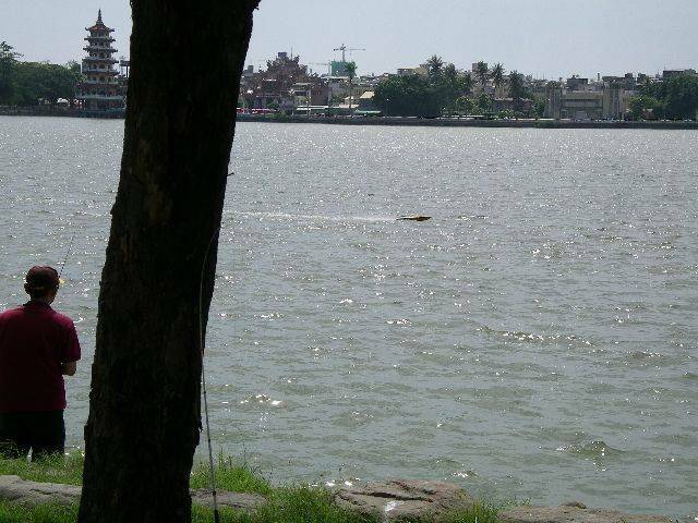 IMGP2575.JPG