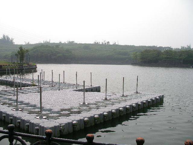 IMGP2841.JPG