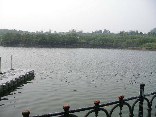 IMGP2842.JPG