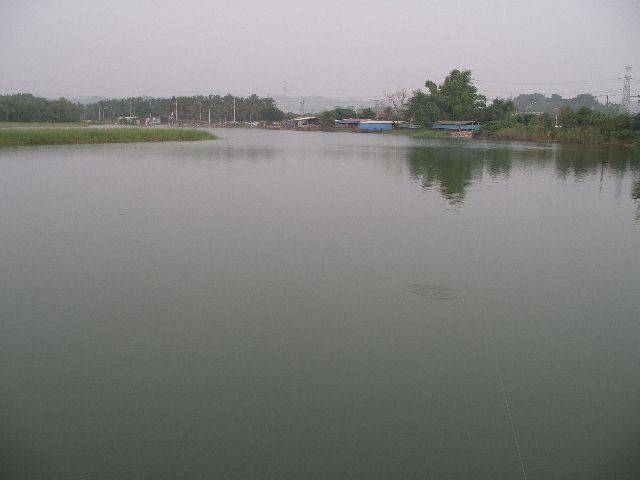 IMGP2947.JPG