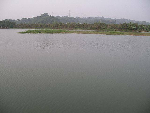 IMGP2951.JPG
