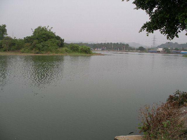IMGP2952.JPG