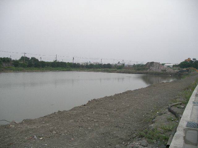 IMGP3105.JPG