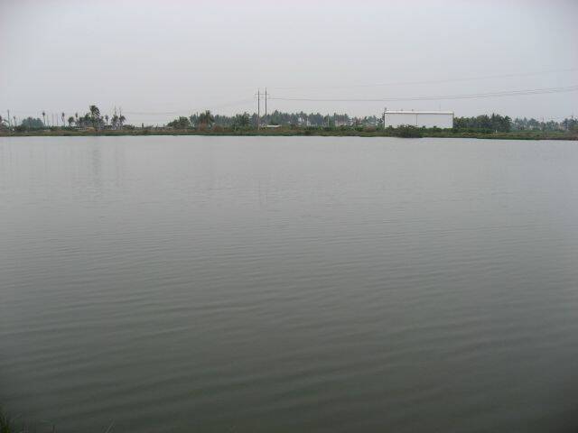 IMG_0628.jpg