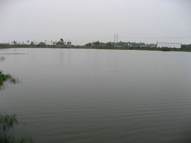 IMG_0629.jpg
