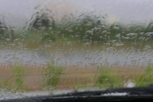 大雨又林濕了玻璃，等無晴