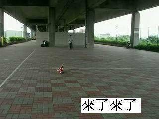 MOCY4.JPG