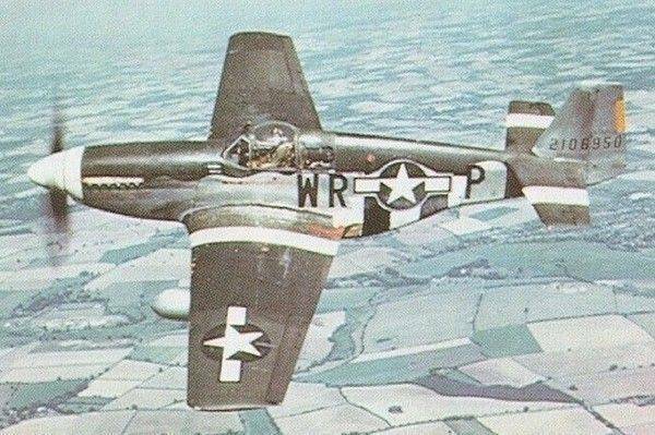 Mg-016.jpg