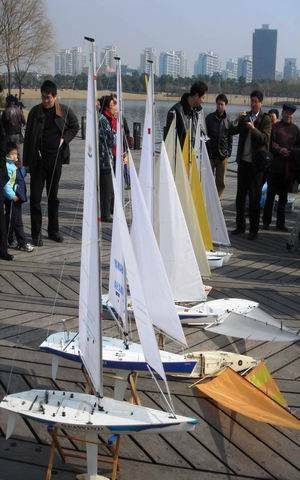 2.11活动2.jpg