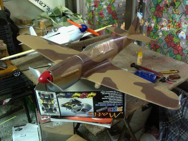 P-40.jpg