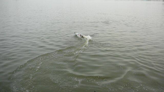 P1000517.jpg