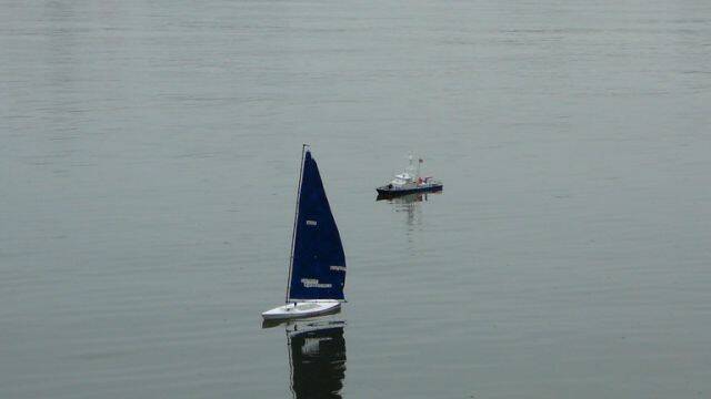 P1000533.jpg