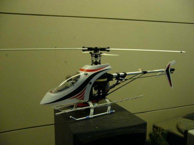 P1000815_MX1VGIkEagoK.jpg