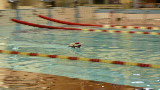 P1010005.jpg