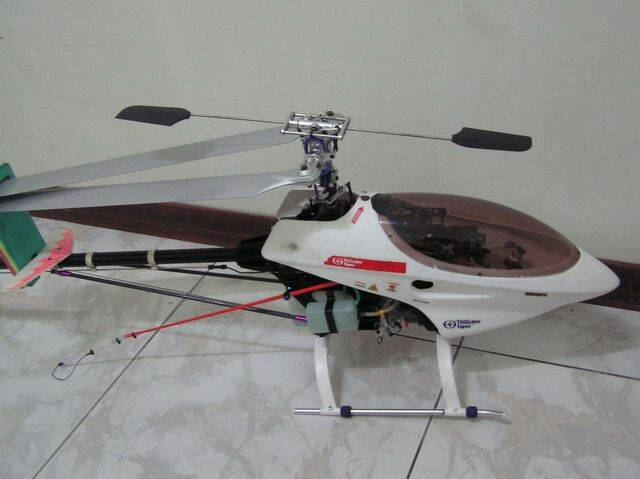 P1010148.JPG