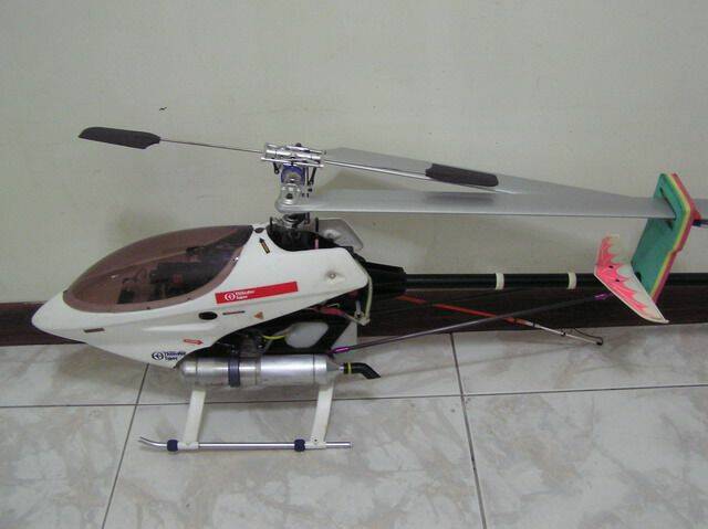 P1010156.jpg