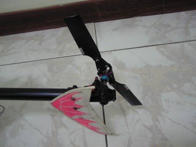 P1010158.jpg