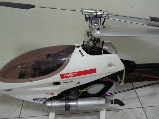 P1010159.jpg