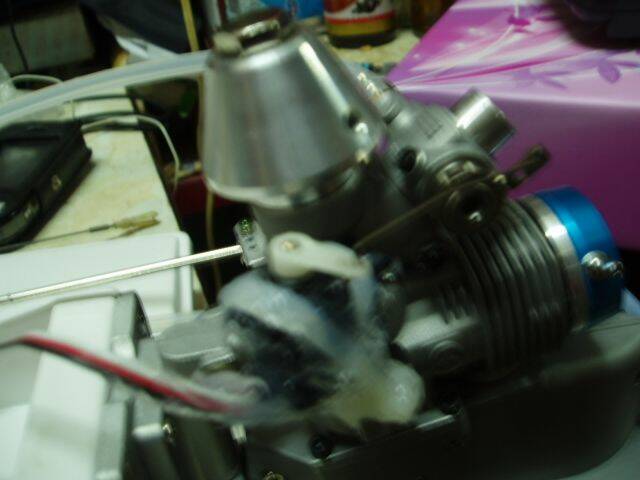 PA290006.JPG