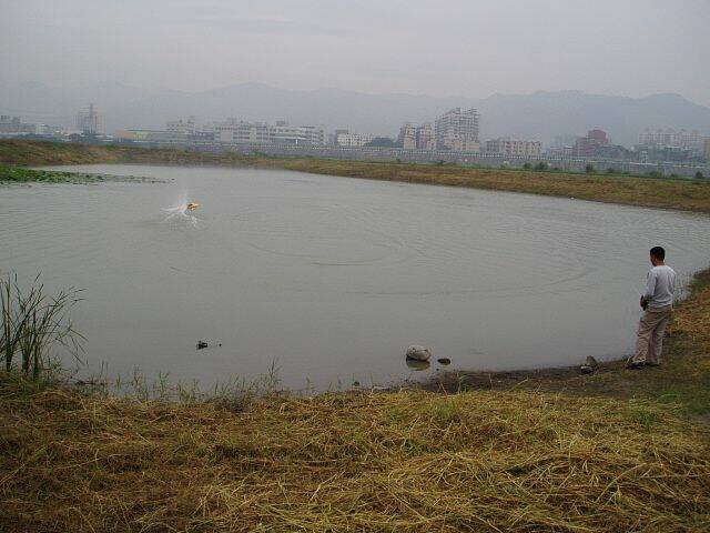 PB140016.JPG