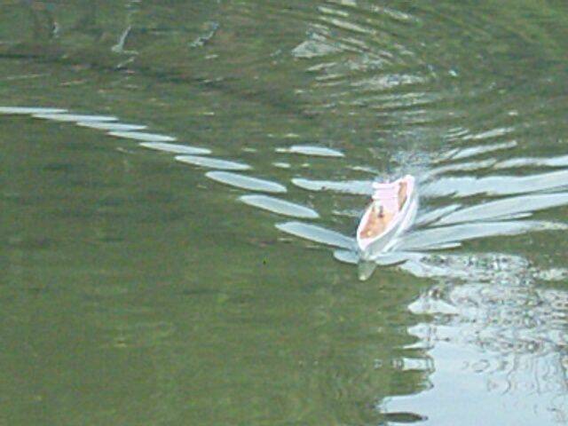 PHOT0008.JPG