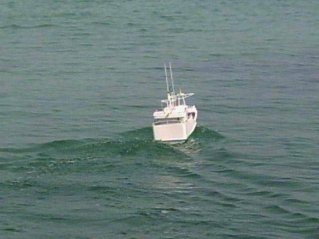 全馬力趕往漁場捕魚