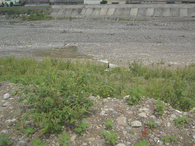 PICT0037.JPG