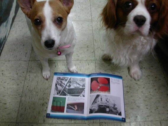 PICT0054_resize.JPG
