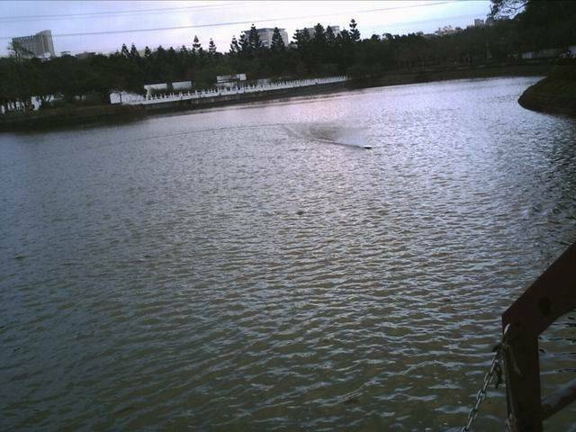 PICT0066.JPG